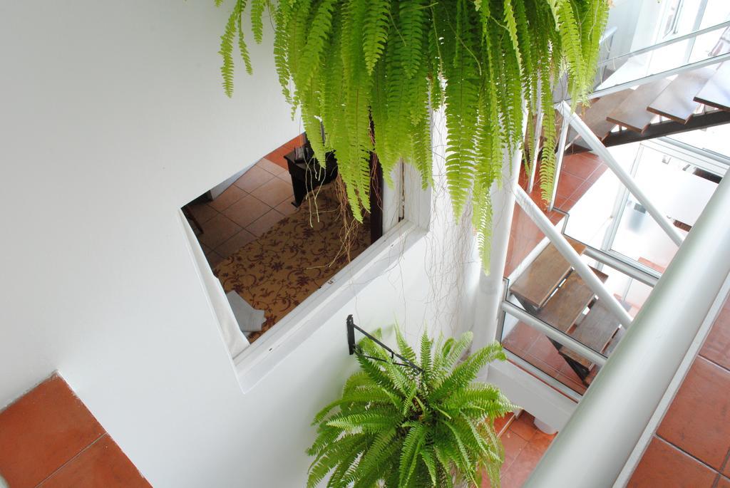 Hotel Romi Colonia del Sacramento Luaran gambar