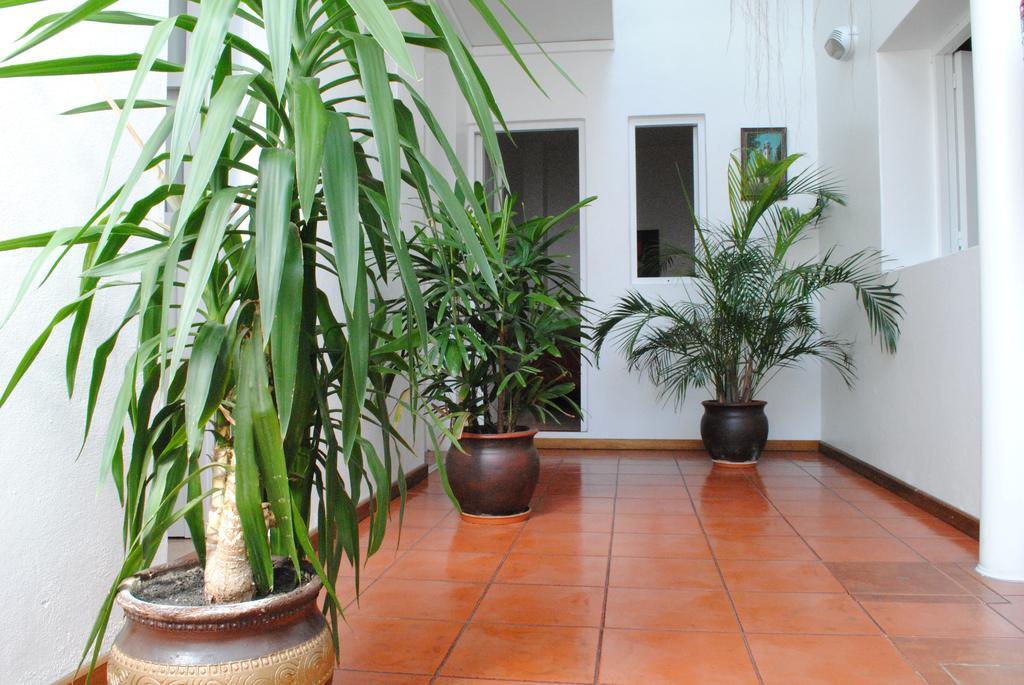 Hotel Romi Colonia del Sacramento Luaran gambar